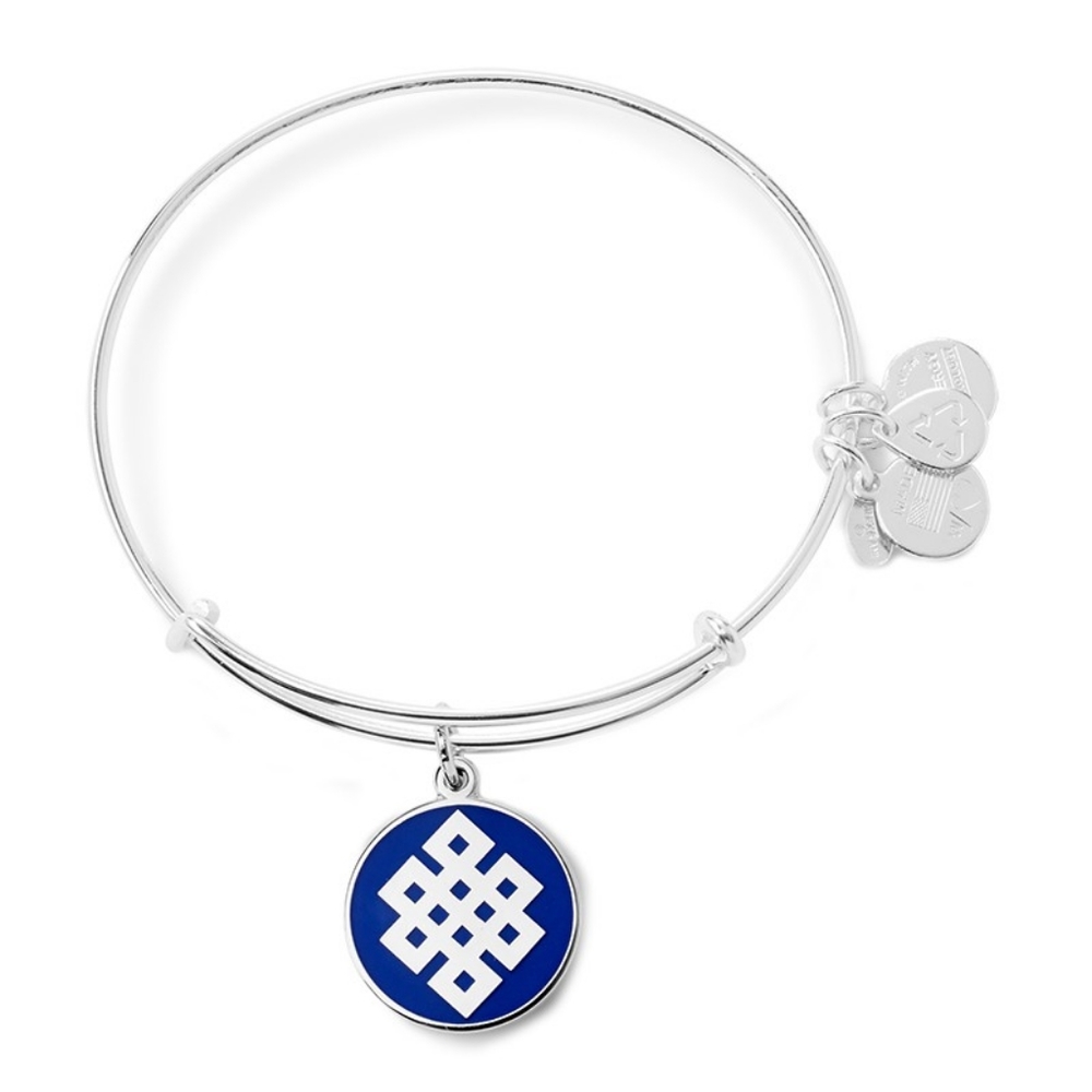 NWT, Alex and Ani Endless Knot Blue Epoxy Bracelet